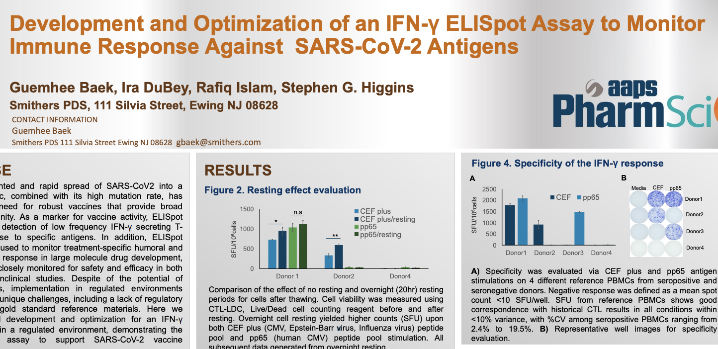 Monitoring Immune Response Against SARS-CoV-2 Antigens 